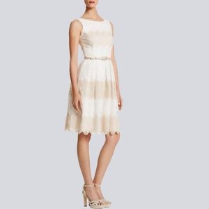 WHBM Lace Fit and Flare Dress